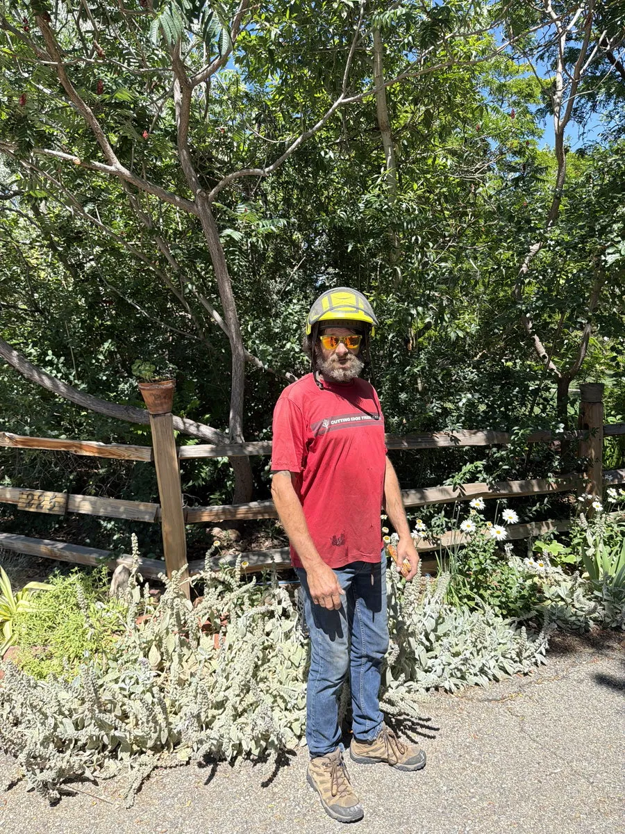 Nathan London of Cutting Edge Tree Care